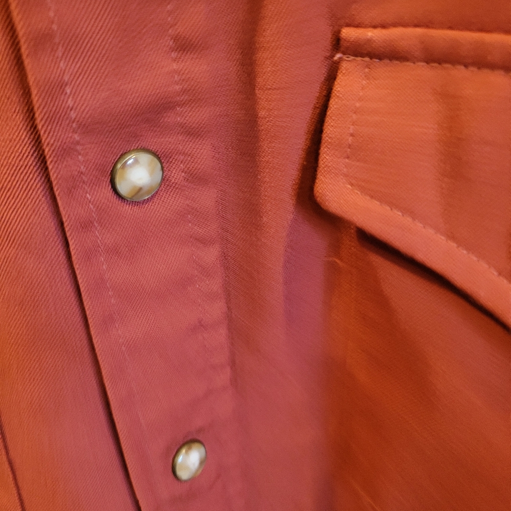 🐎EUC~ PENDELTON BUTTON-UP SHIRT - Picture 6 of 9